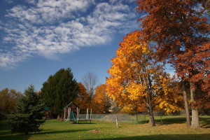 autumn