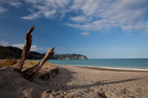 east_cape08
