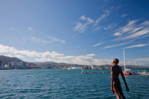 wellington06